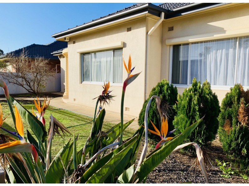 3 Adermener Street, Athol Park SA 5012