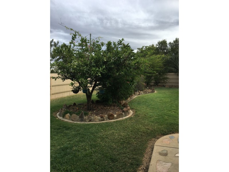 161 Eighth Street, Forsayth QLD 4871