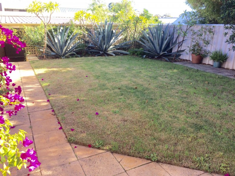 55B Blencowe St, West Leederville WA 6007