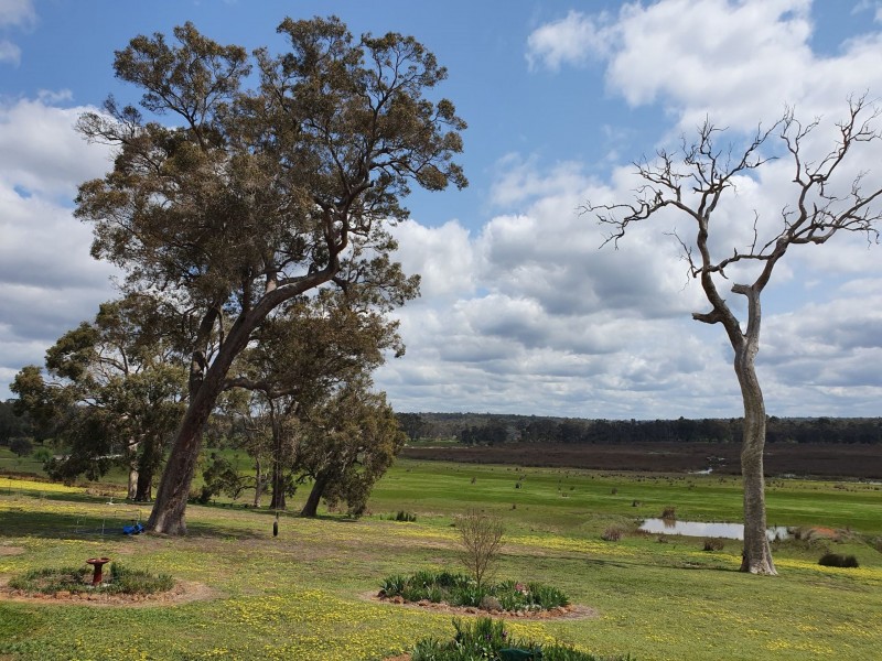 15 Balyan Retreat, Perup WA 6258