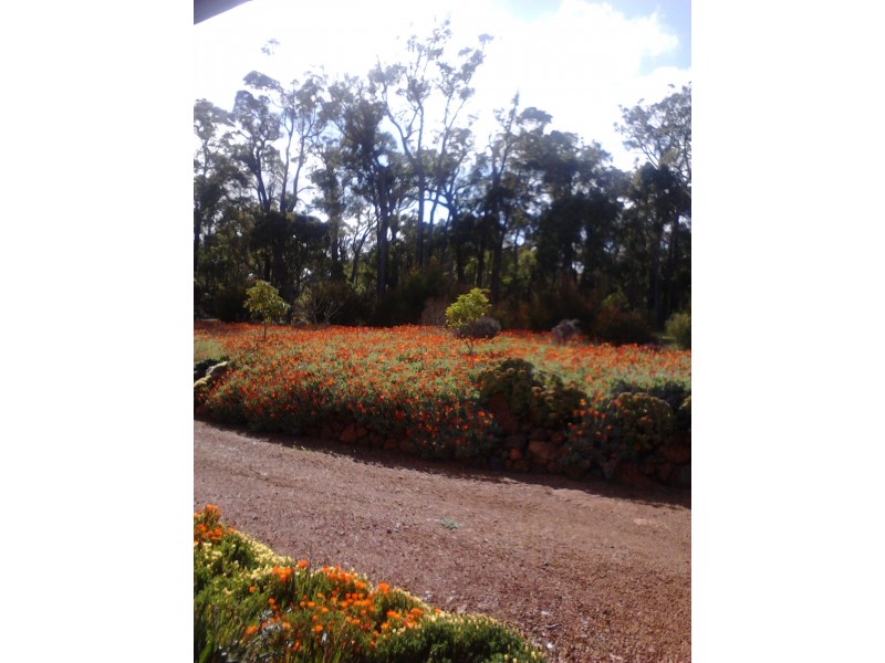 15 Balyan Retreat, Perup WA 6258