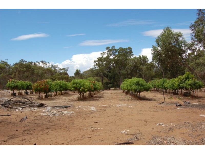 328 Nabaroo Road, Gingin WA 6503