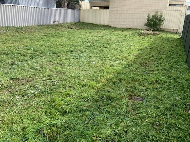 19A Bradley Way, Lockridge WA 6054