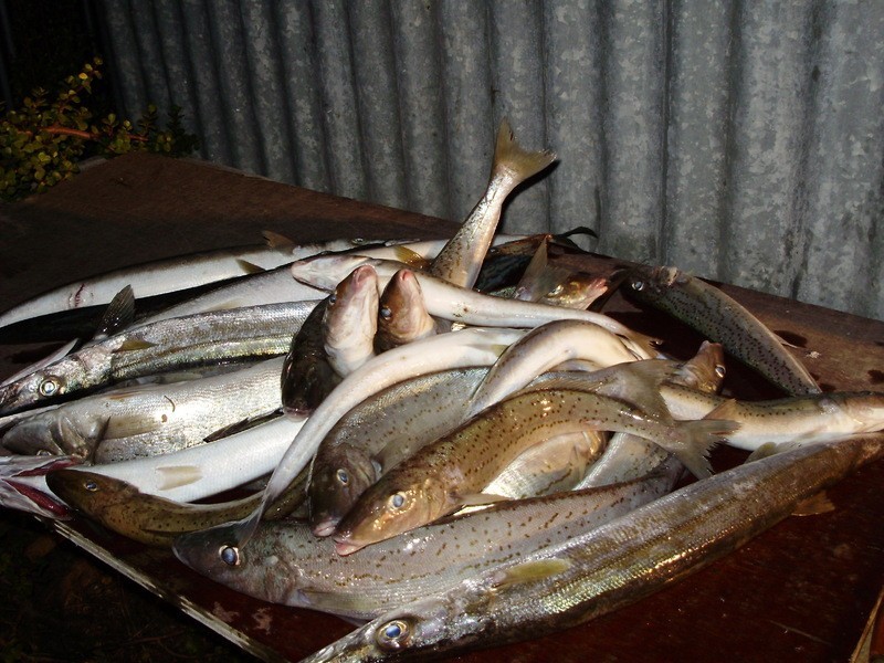 6 maye tce, Balgowan SA 5573