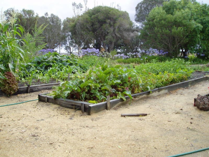 159 Tip Road, Seaspray VIC 3851