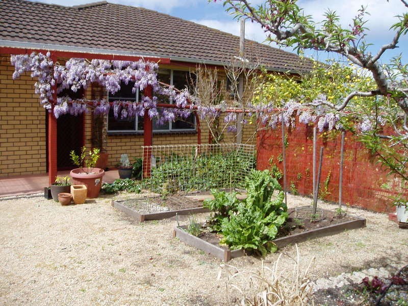 159 Tip Road, Seaspray VIC 3851