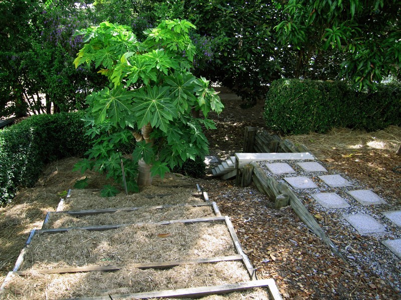 171 J Hickey Avenue, Gladstone QLD 4680