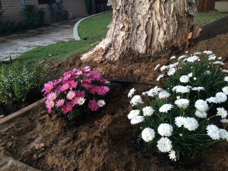 4 Marri St, Wembley Downs WA 6019