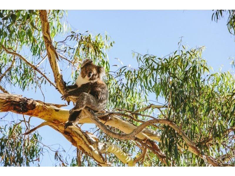 6/11 Colton Road, Blackwood SA 5051