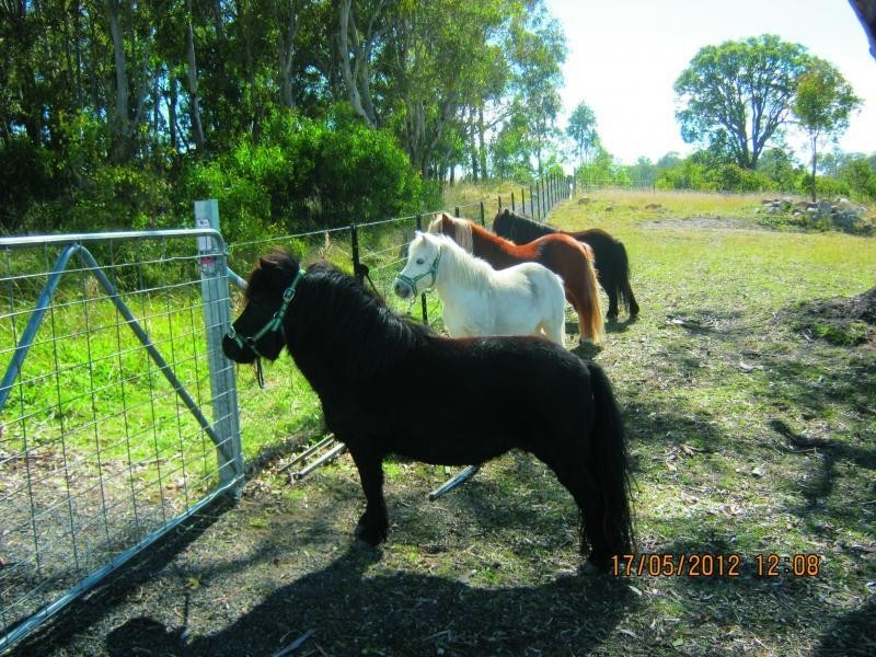 Lot 3 Neagles Lane, Tenterfield NSW 2372