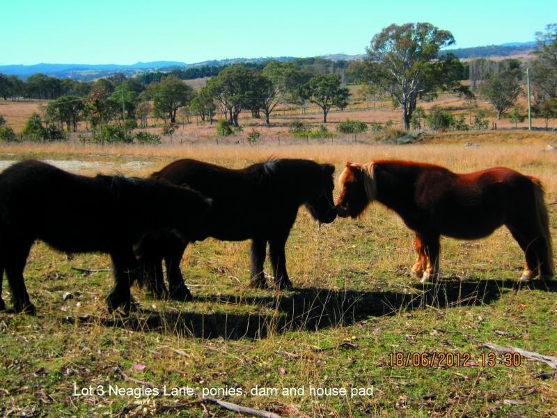 Lot 3 Neagles Lane, Tenterfield NSW 2372