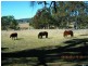 Lot 3 Neagles Lane, Tenterfield NSW 2372