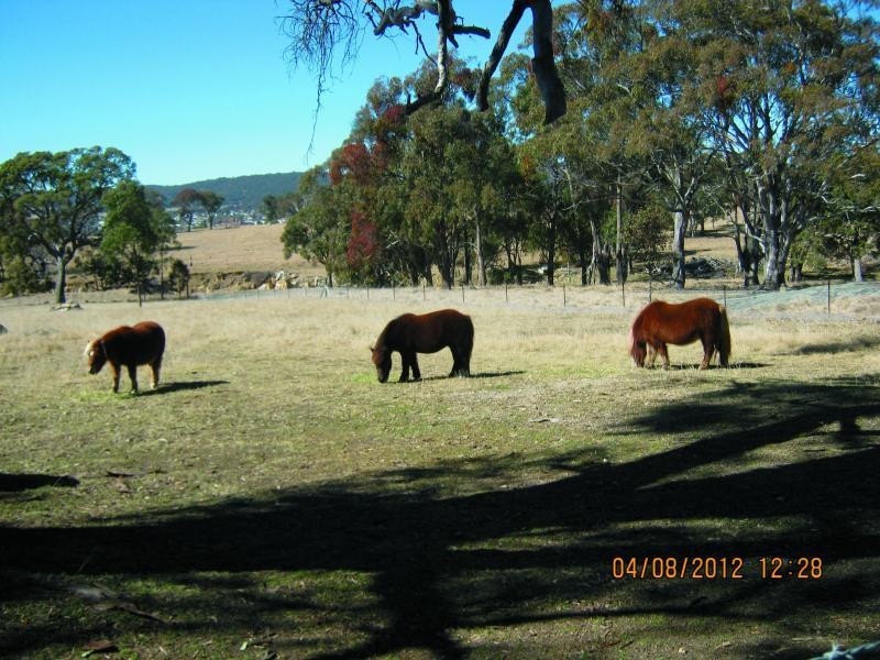 Lot 3 Neagles Lane, Tenterfield NSW 2372