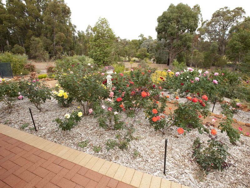 4 Country Club Avenue, Roleystone WA 6111