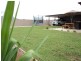 36 Loughan Road, Junee NSW 2663