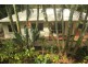 5 Mckenzie Road, Woombye QLD 4559