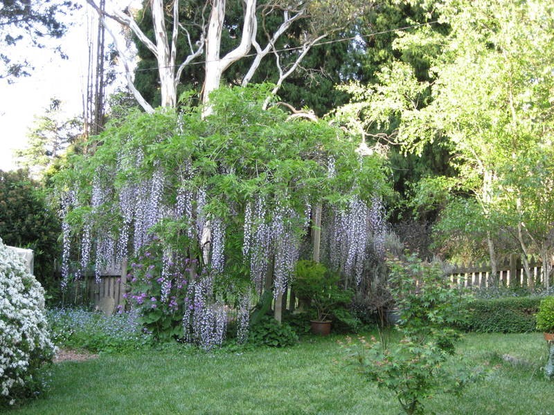 33 Valetta Street, Moss Vale NSW 2577