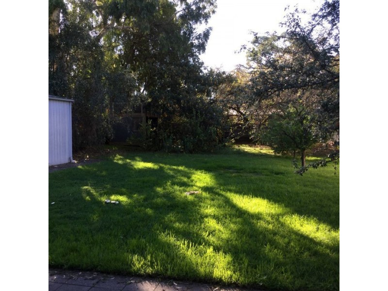 38 WOODFIELD AVE, Fullarton SA 5063