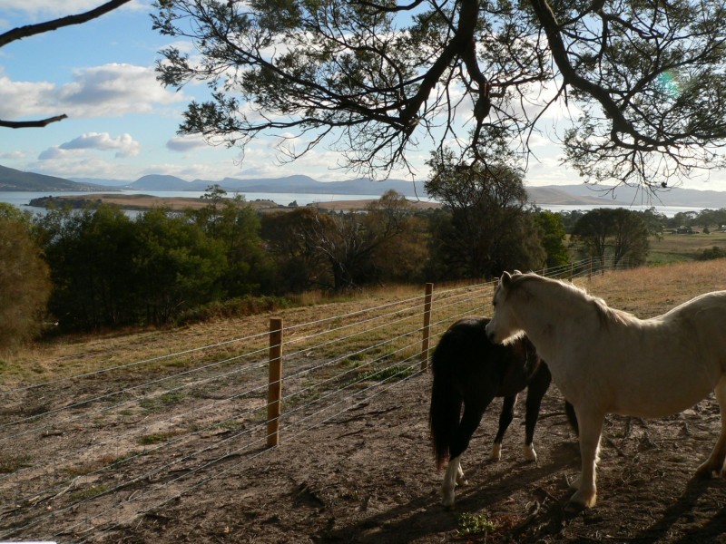 3669A South Arm Road, Opossum Bay TAS 7023