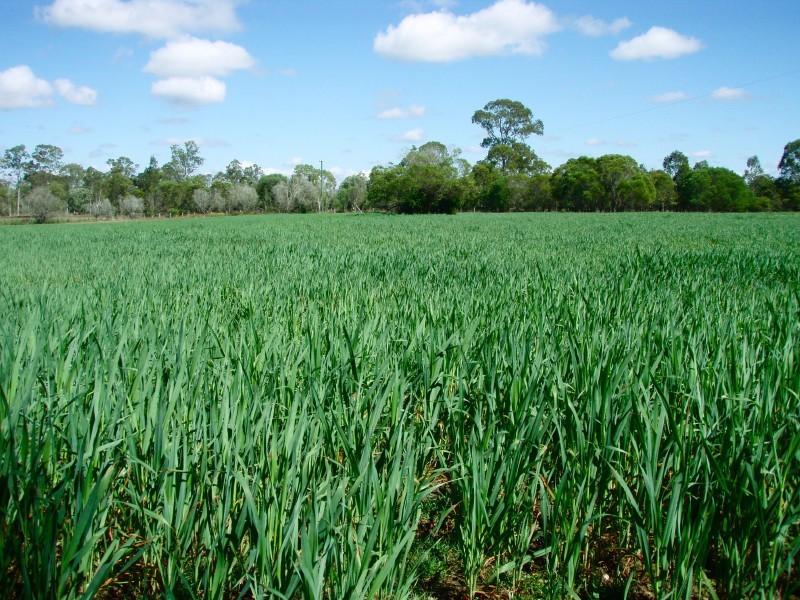 Baffle Creek QLD 4674