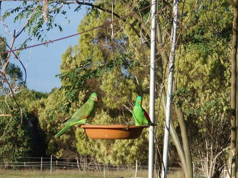 Baffle Creek QLD 4674