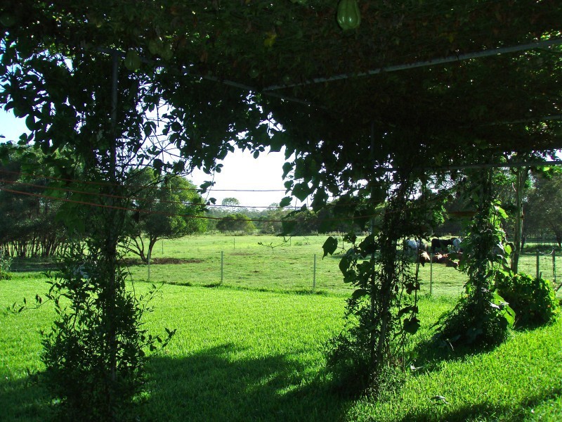 Baffle Creek QLD 4674