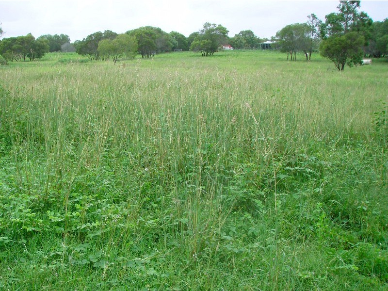 Baffle Creek QLD 4674