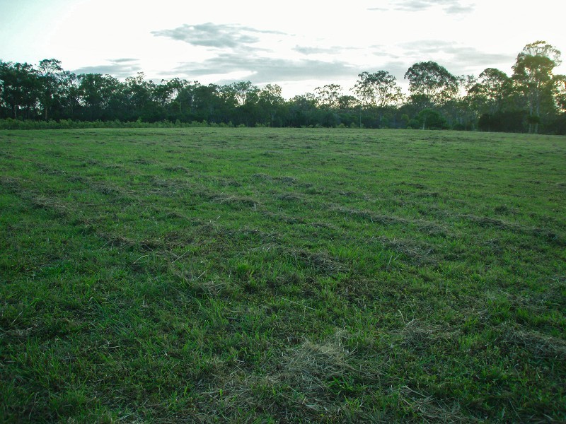 Baffle Creek QLD 4674