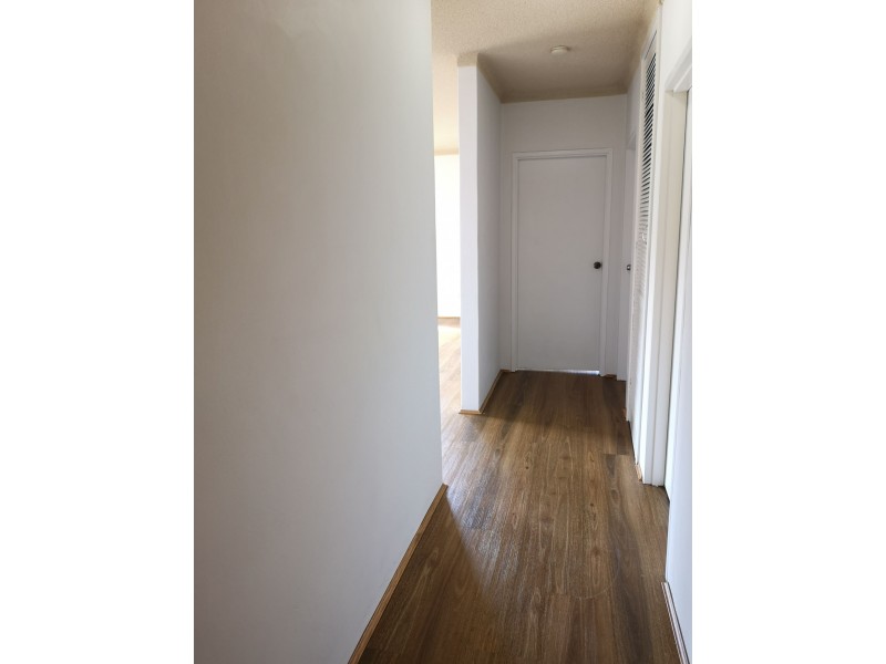 3/11 Isabel St, Ryde NSW 2112