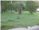 2 Jaydn Court, Magnetic Island QLD 4819