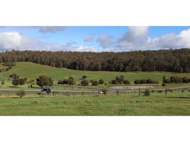 4004 Scaffidi Place, Donnybrook WA 6239