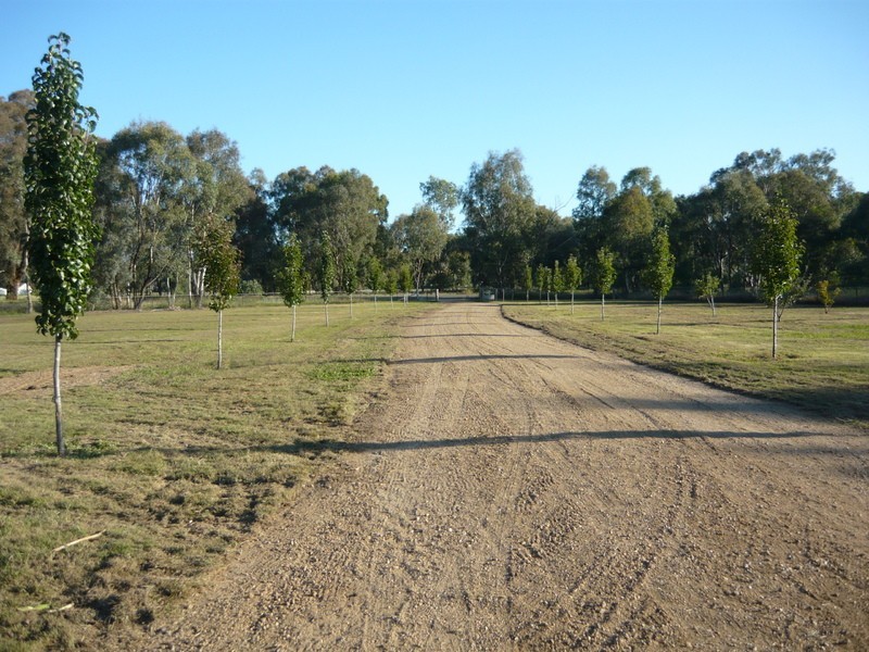 17 Drumwood Road, Jindera NSW 2642