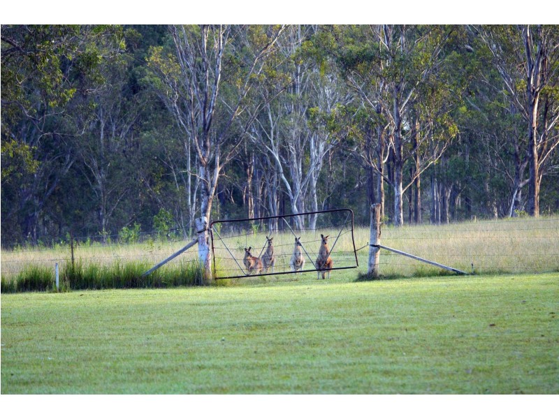 135 Four Mile Lane, Clarenza NSW 2460