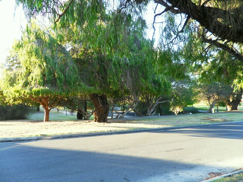 3/30 Mitchell Street, Bentley WA 6102