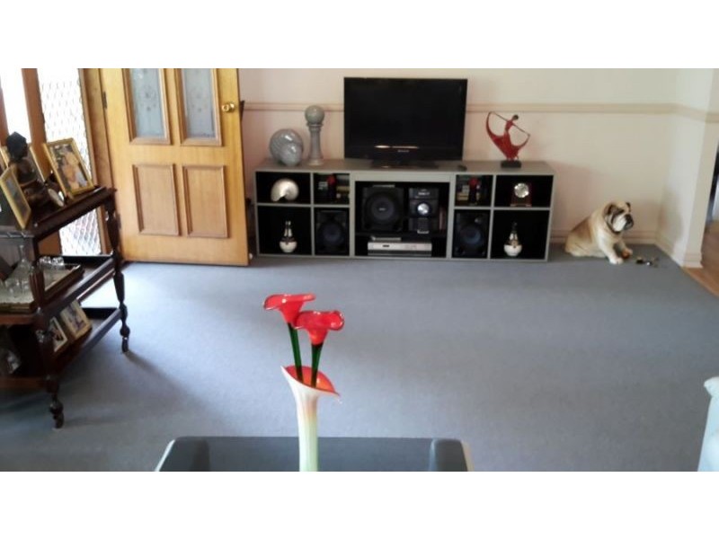 46 Harry Mills Drive, Worongary QLD 4213