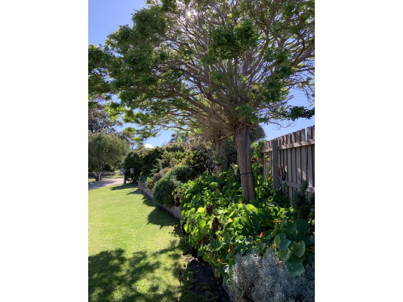 9 Willis Ave, Marlo VIC 3888