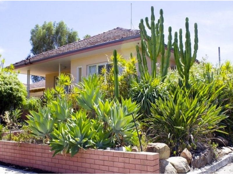 38 Wyatt Road, Bayswater WA 6053