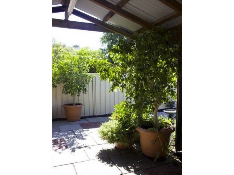 38 Wyatt Road, Bayswater WA 6053