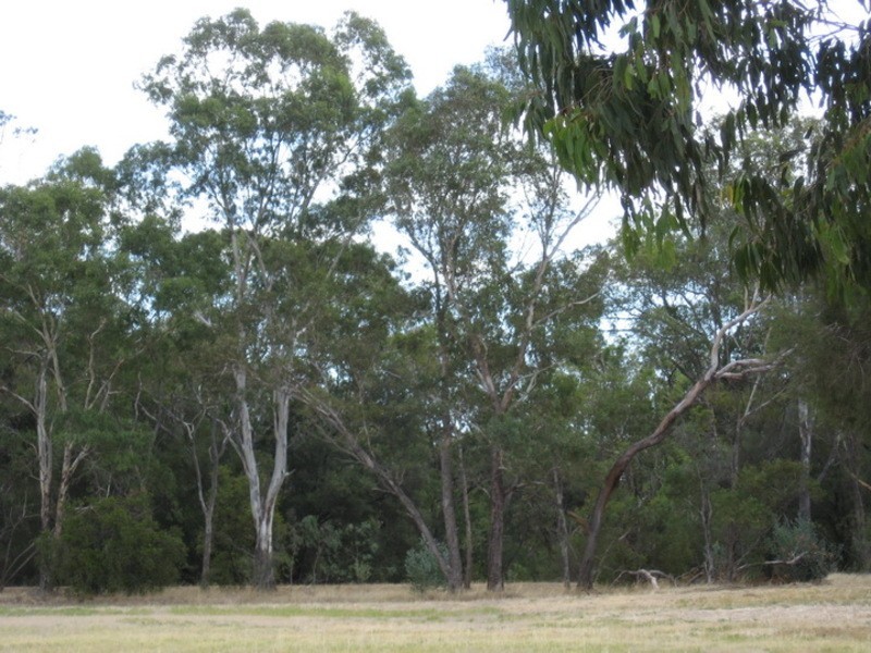 5 Janeville Place, South Guildford WA 6055