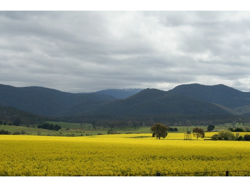 18 Talbot Street, Fingal TAS 7214