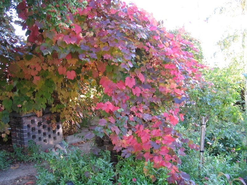 18 Talbot Street, Fingal TAS 7214