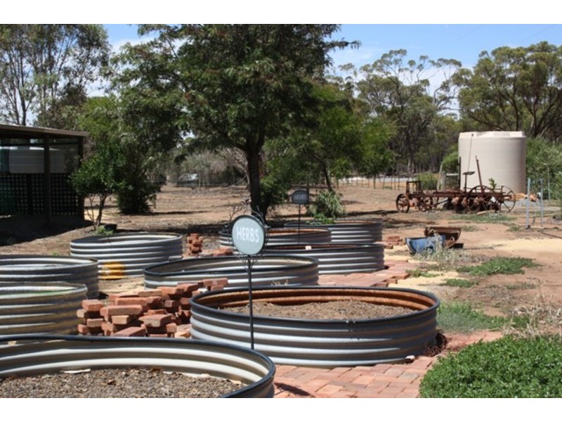 Lot 117 Richmond Street, Williams WA 6391