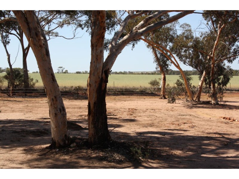 14 Teasdale Road, Bruce Rock WA 6418