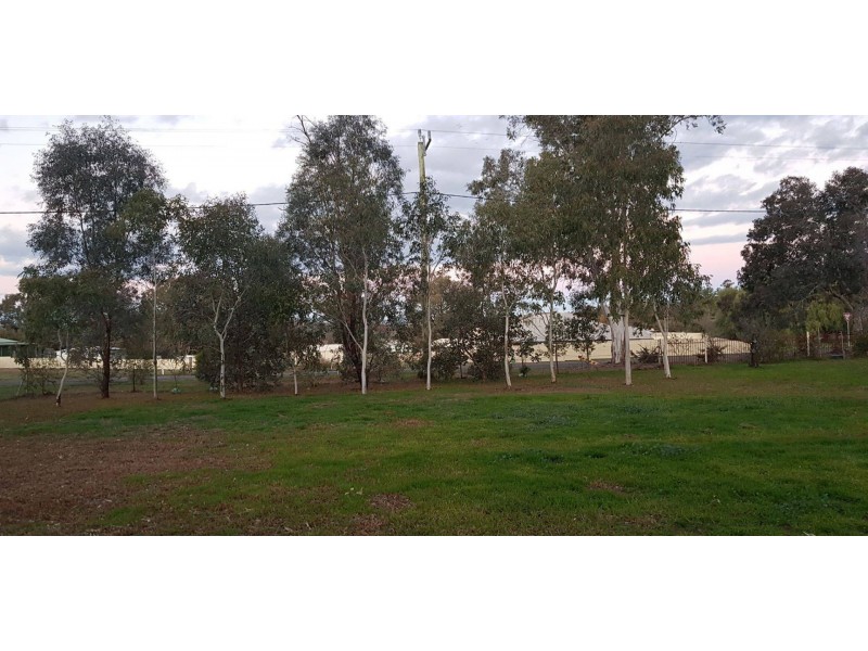 10 Newton Road, Canowindra NSW 2804