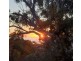 Fraser Island QLD 4581