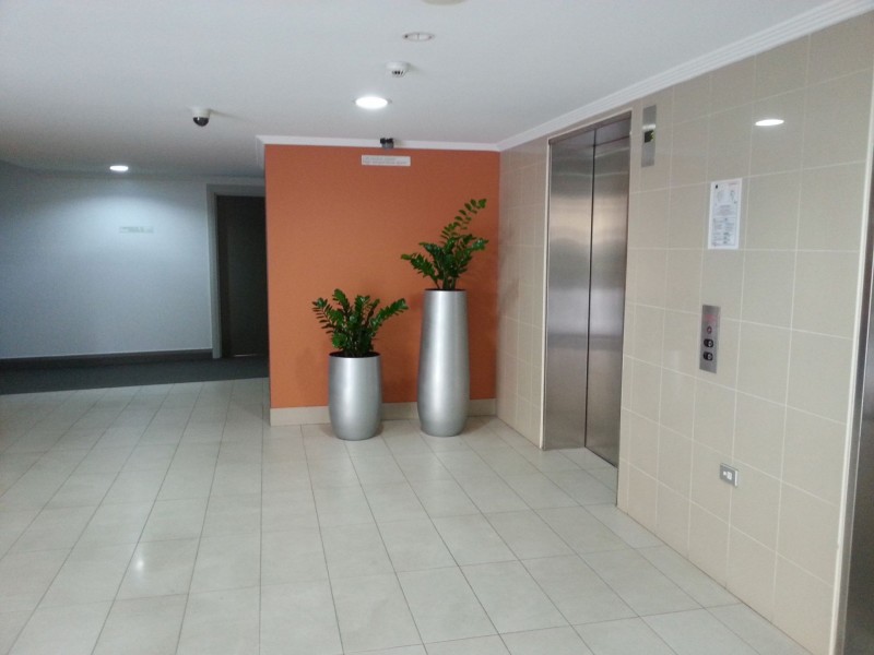 11 Potter St, Waterloo NSW 2017