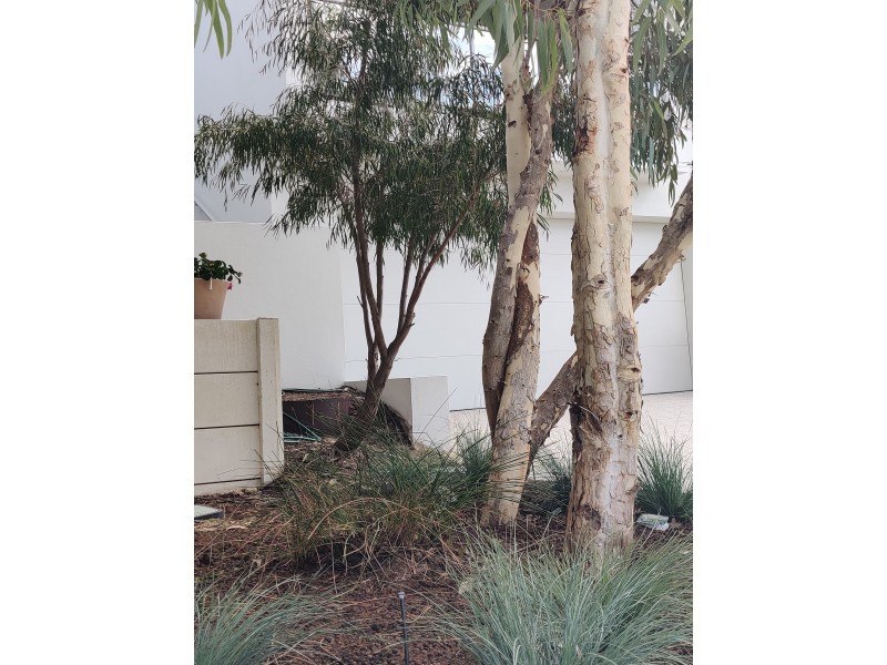 115b Calais Rd, Wembley Downs WA 6019