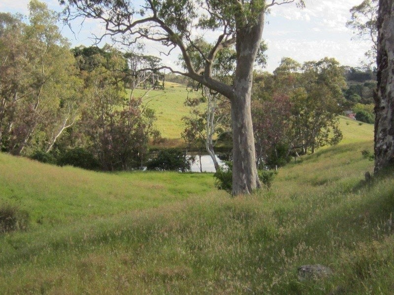 Lot 101/1927  North East Road, Inglewood SA 5133