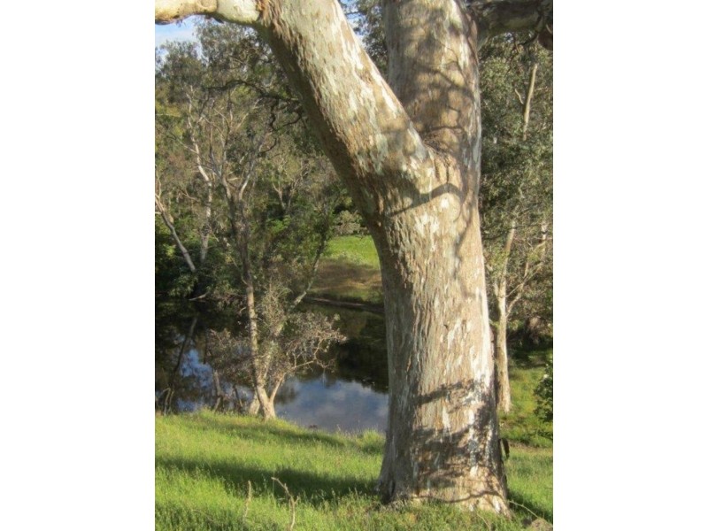 Lot 101/1927  North East Road, Inglewood SA 5133