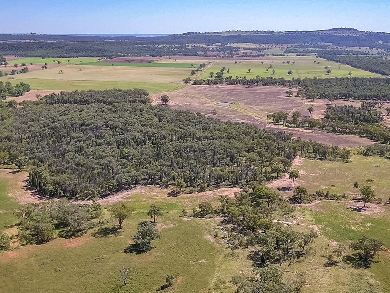 KINDON/2824 Neilrex Road, Neilrex NSW 2831